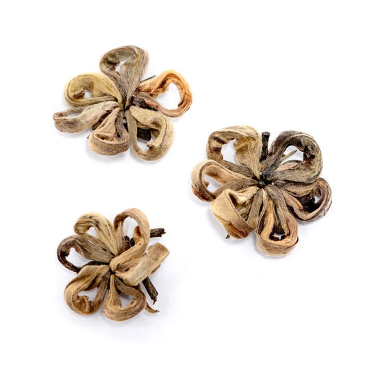 Plum Blossom kínai zöld tea (bajnok). 10g
